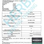 كبسولات المورينجا (60 كبسولة) MORINGA