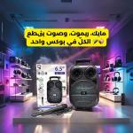 Haut Parleur Bluetooth 6.5″ QL-602